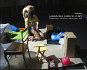 copertina di Laboratorio d'arte sul corpo. Deposizioni e Visitazioni / Agorà madri e figli copertina di Laboratorio d'arte sul corpo. Deposizioni e Visitazioni / Agorà madri e figli
